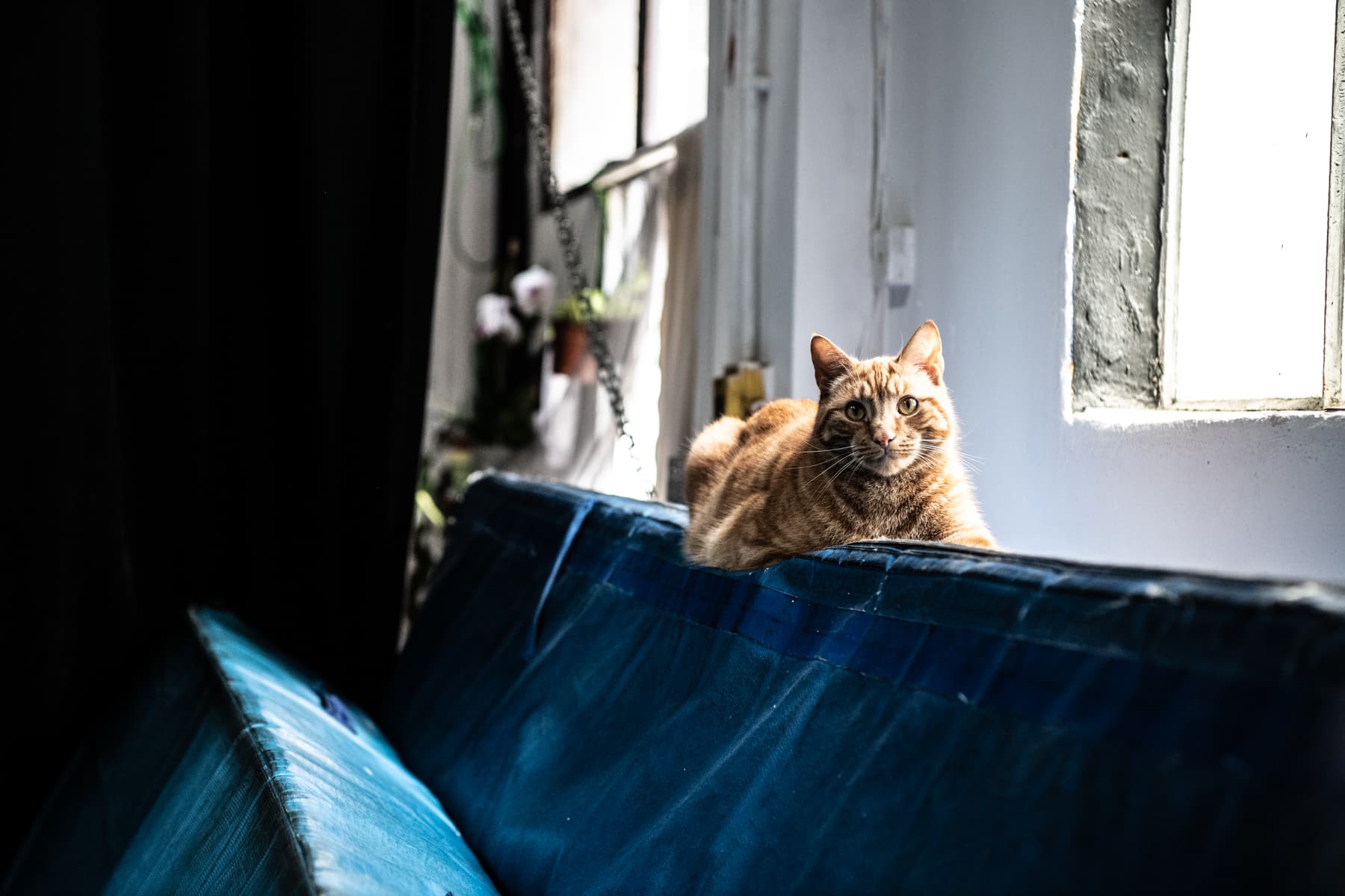 Phil Sealey from Saucy Sonnets and Animal Voices