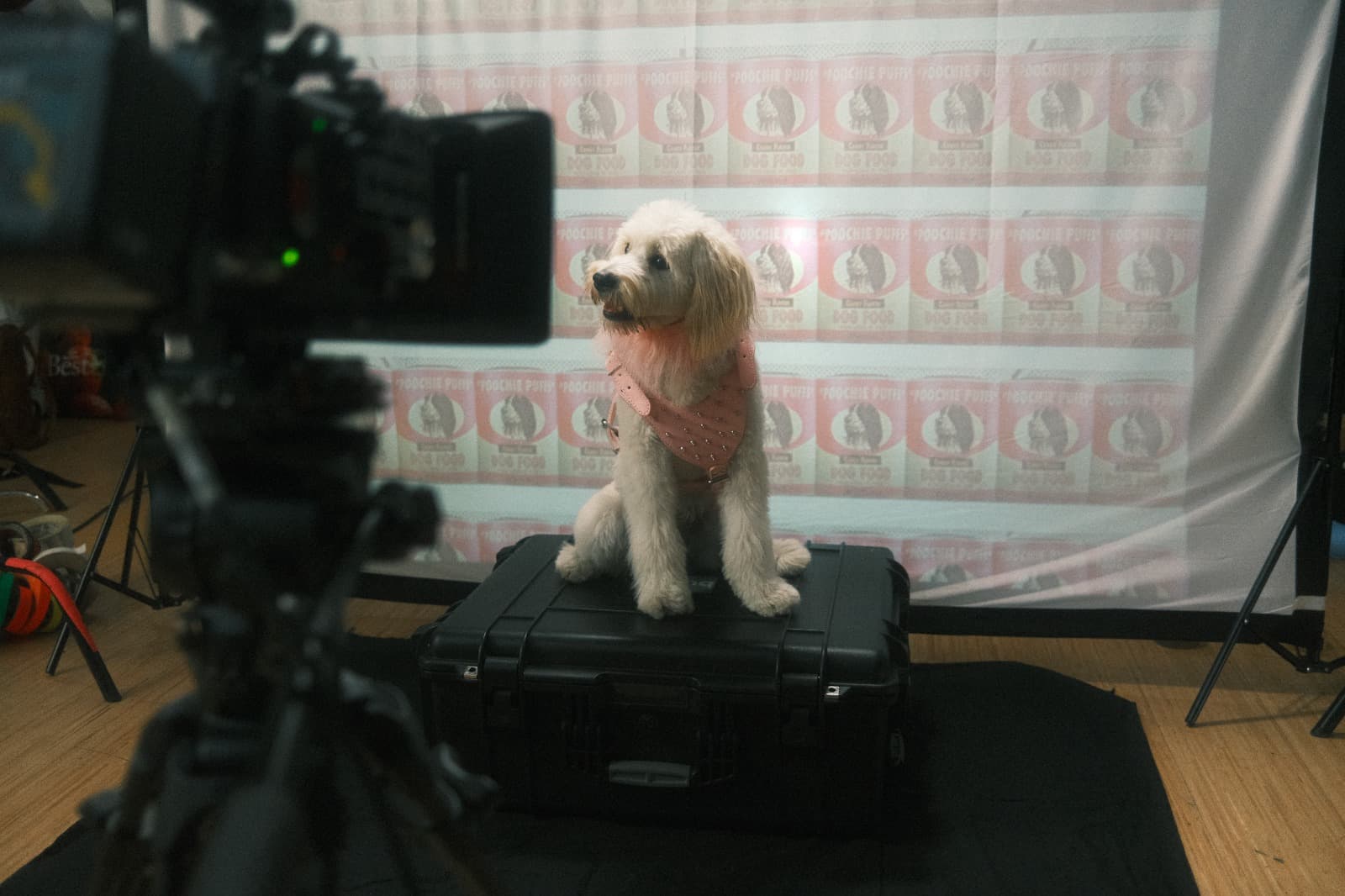 Phil Sealey from Saucy Sonnets and Animal Voices