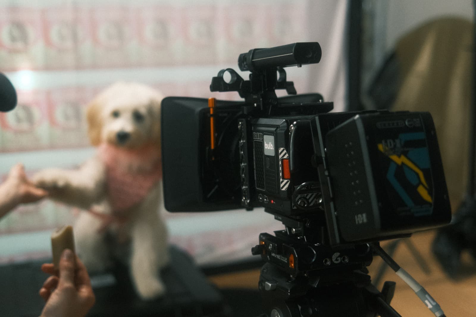 Phil Sealey from Saucy Sonnets and Animal Voices